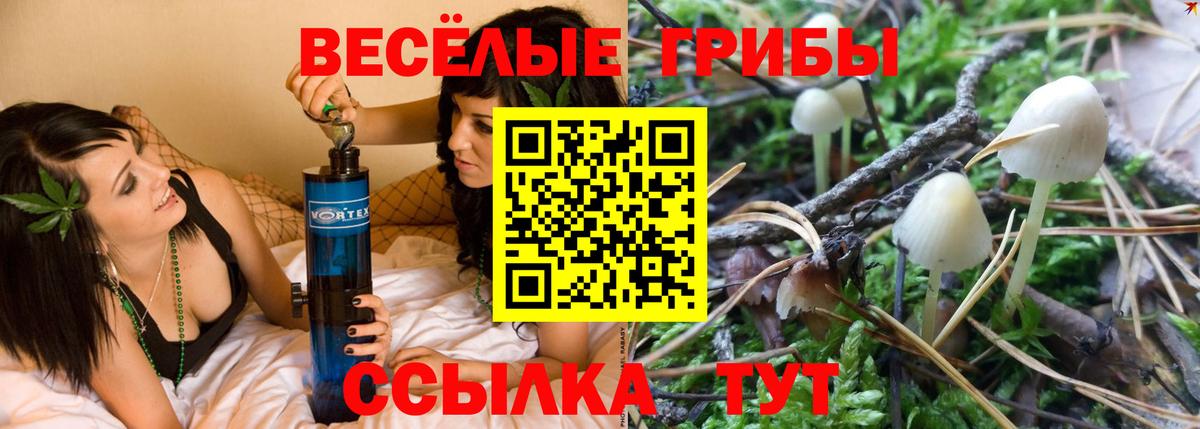 ГАШ  Кодеин  МДМА  Вход с VPN  Гай  COCAIN  Каннабис  МЕФ  