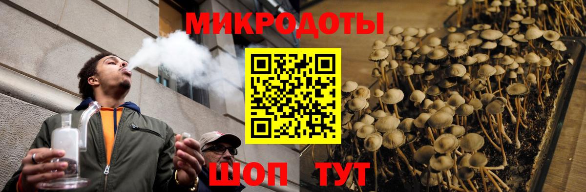 Галлюциногенные грибы Psilocybine cubensis  Псилоцибиновые грибы Psilocybe  Гай  Вход с VPN 