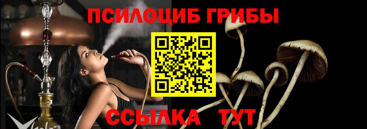 Псилоцибиновые грибы MAGIC MUSHROOMS Гай